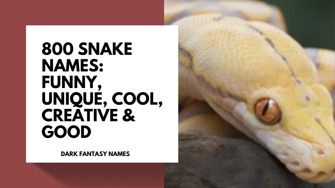 Snake Names