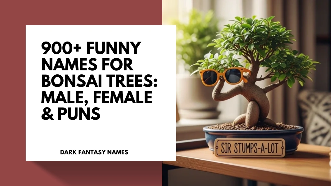 Funny Names for Bonsai Trees