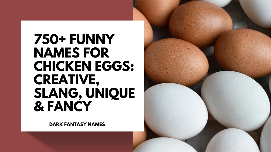 Funny Names for Chicken Eggs