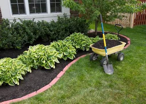 What Is the Best Low-Maintenance Landscaping for Your Home?