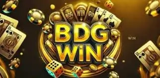 Common Questions About BDG Win Answered