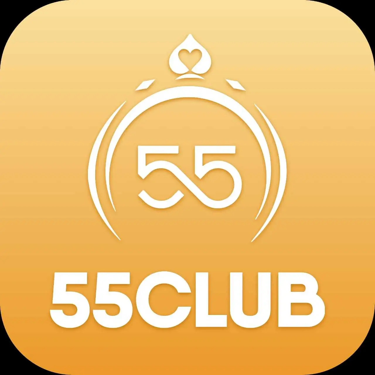 Understanding the Basics of 55 Club